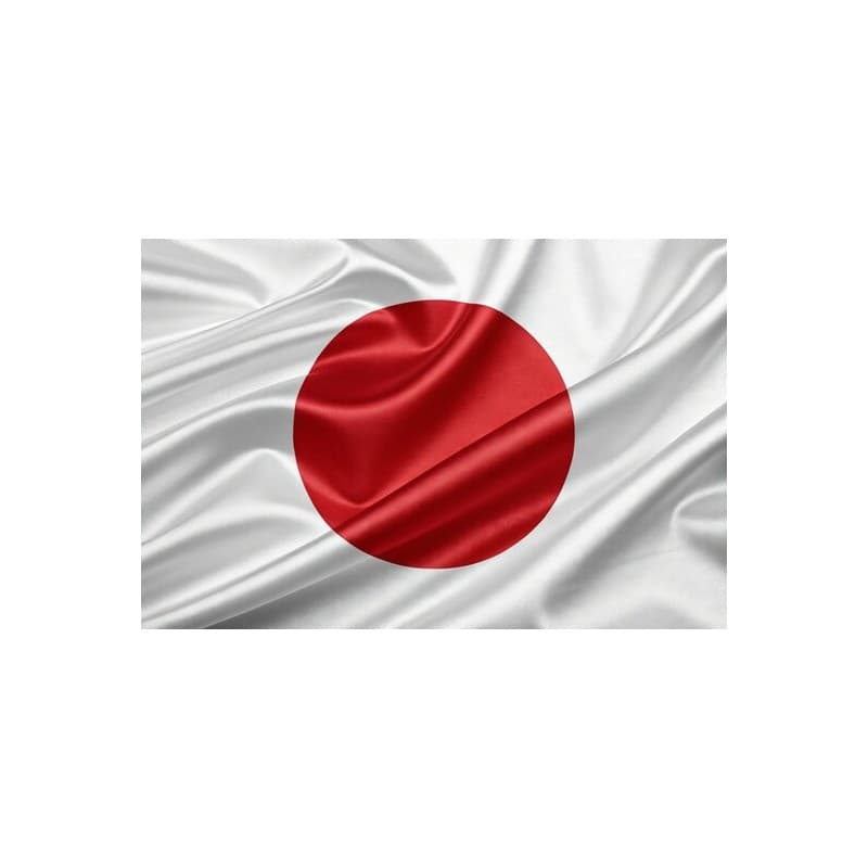 JAPAN (30 Days) 2G RAM RDP Admin Port 25